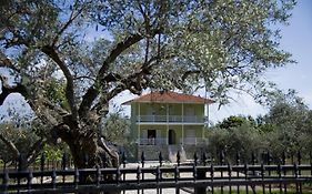 Olivegrove House